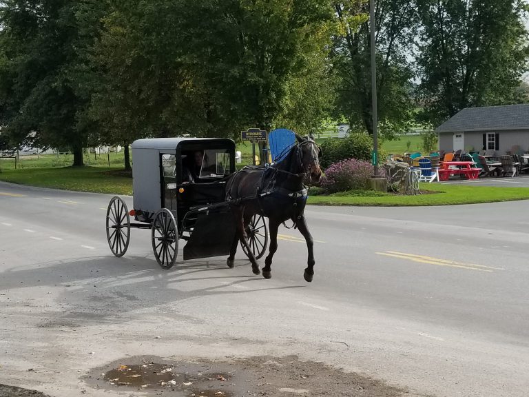 Rosemary Reviews Campgrounds in Amish Country